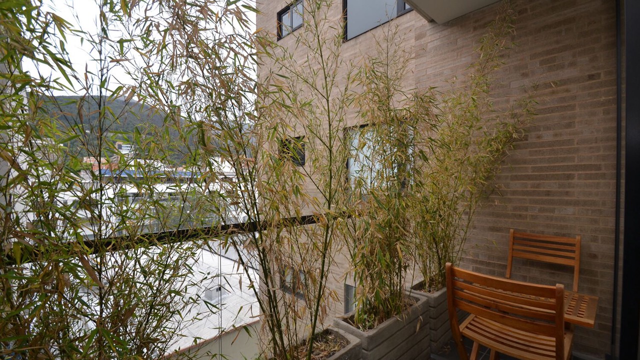 Photo of Outdoor in Bogota