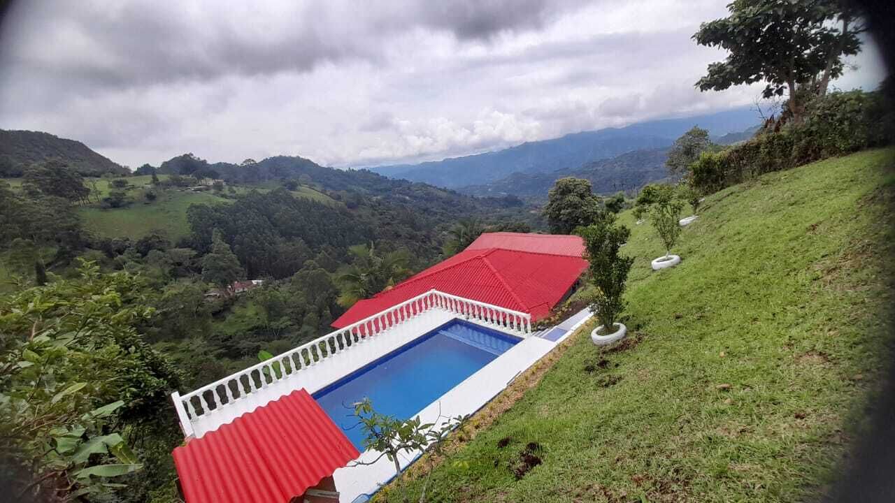 Photo of Outdoor in La Vega