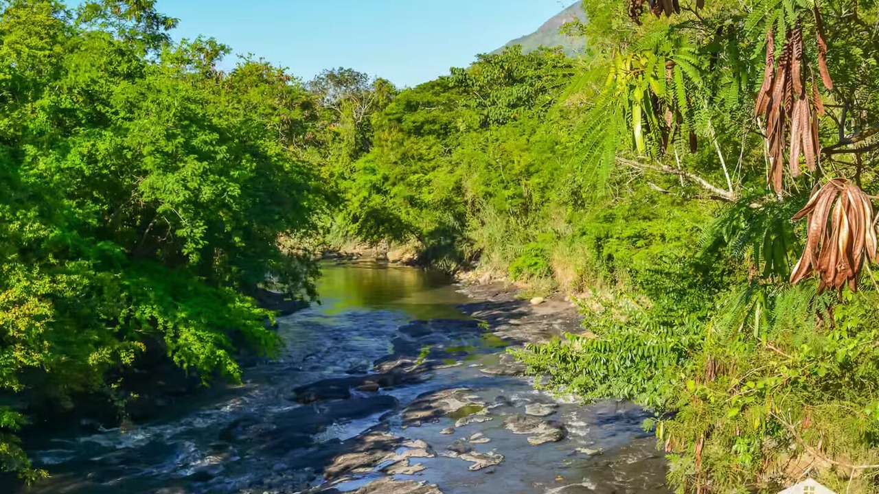 Photo of Others in Apulo