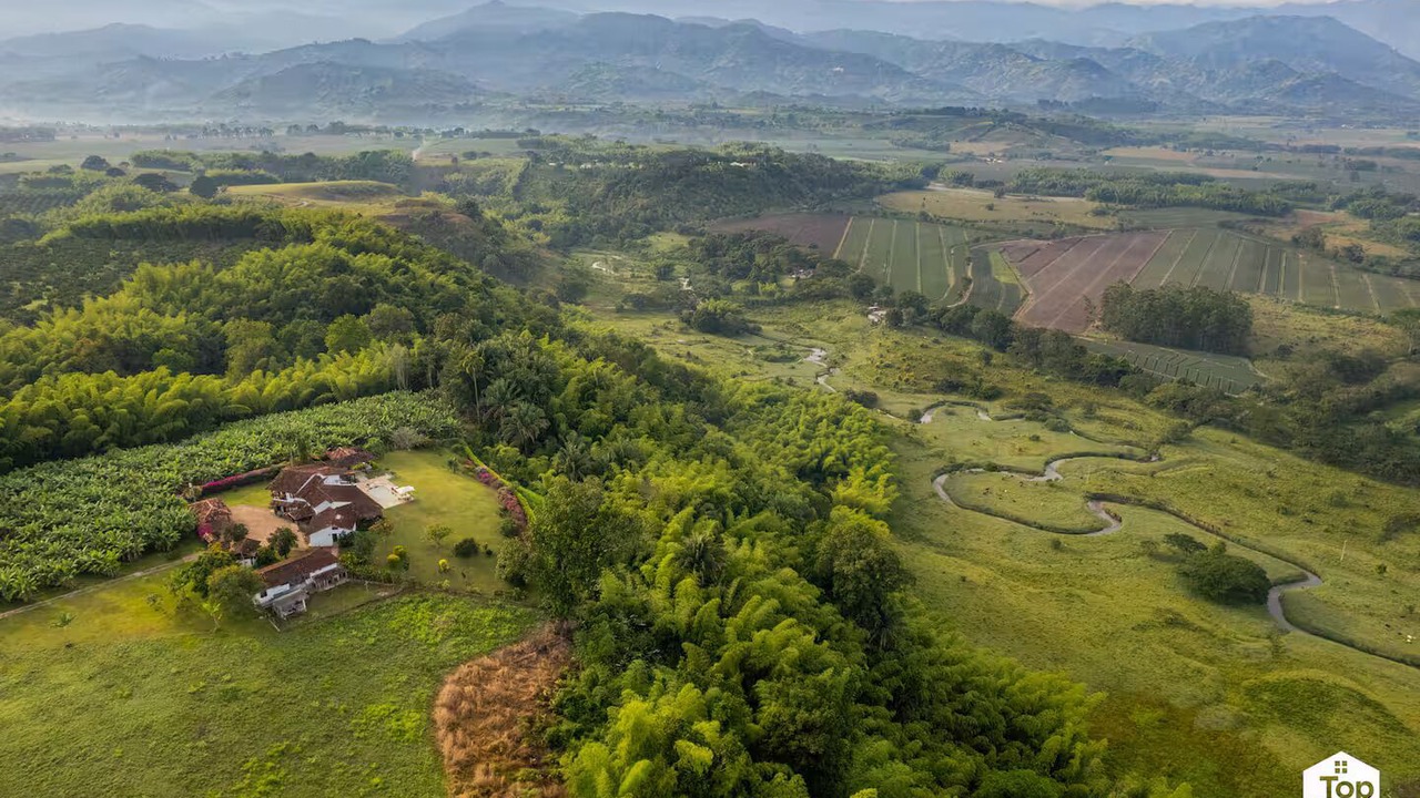 Photo of Outdoor in La Tebaida