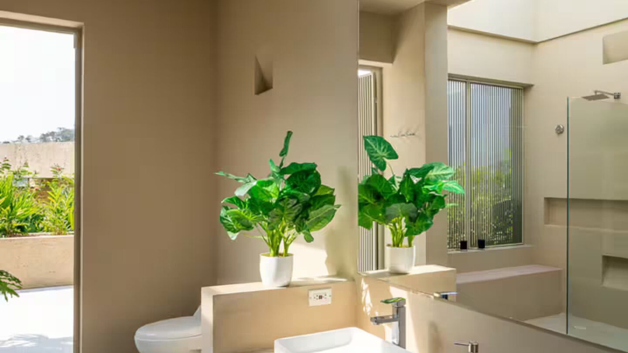 Photo of Bathroom in Nimaima
