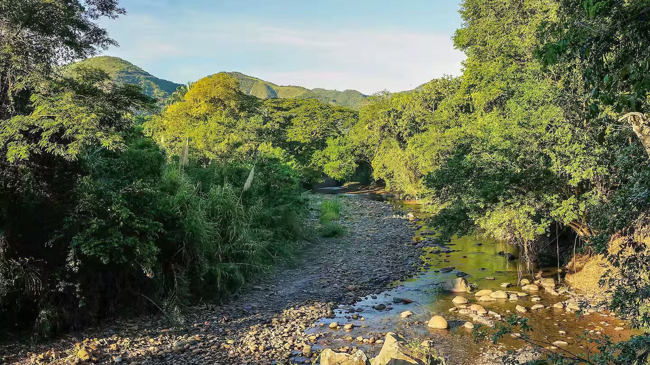 Photo of Others in Apulo