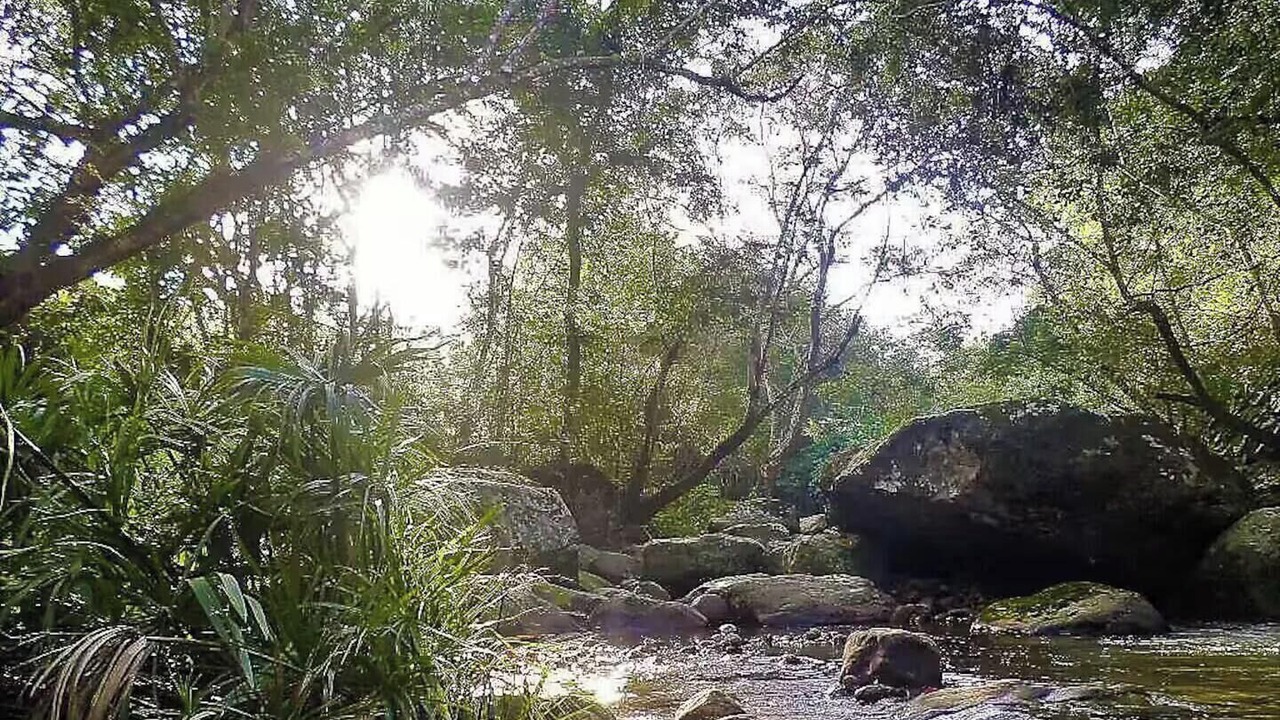 Photo of Others in Apulo