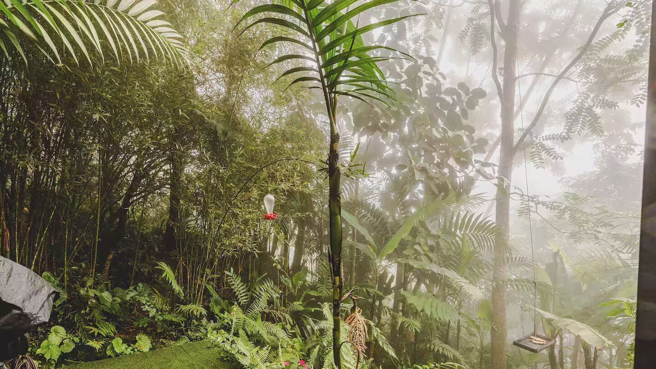 Photo of Outdoor in Santa Marta