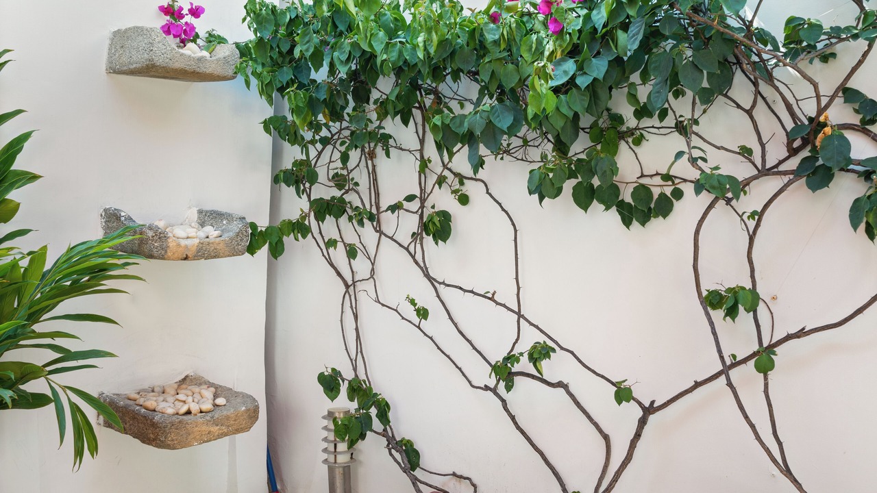 Photo of Outdoor in Cartagena Walled City