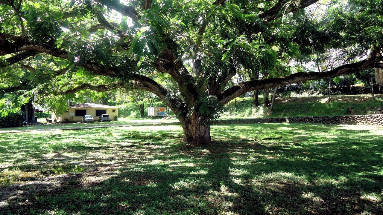 Photo of Outdoor in Melgar