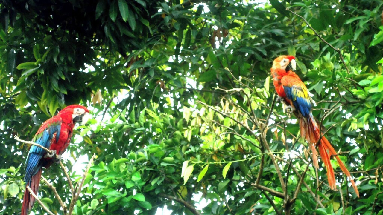 Photo of Others in Melgar