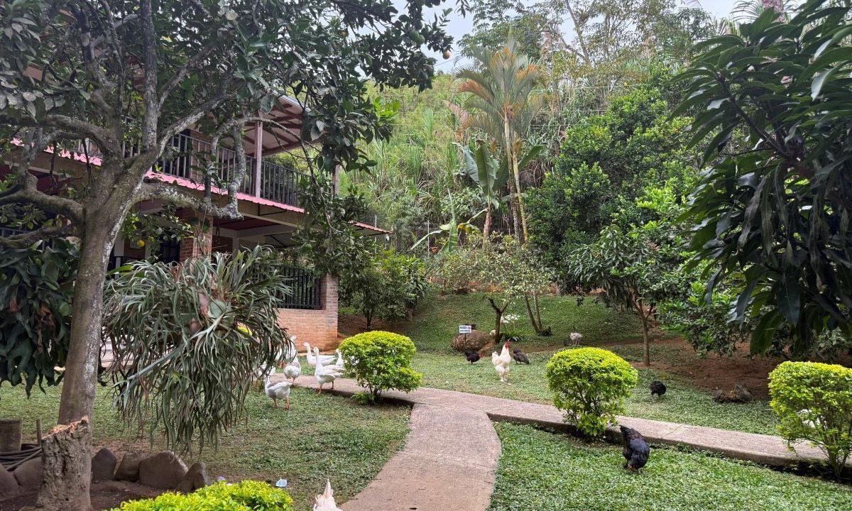 Photo of Outdoor in Yotoco
