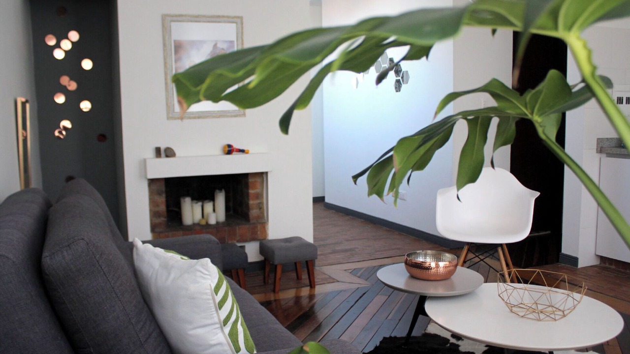 Photo of Livingroom in La Candelaria