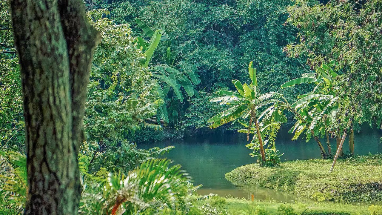 Photo of Outdoor in Apulo