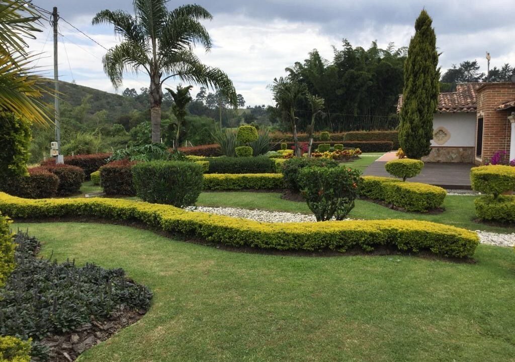Photo of Outdoor in Llanogrande