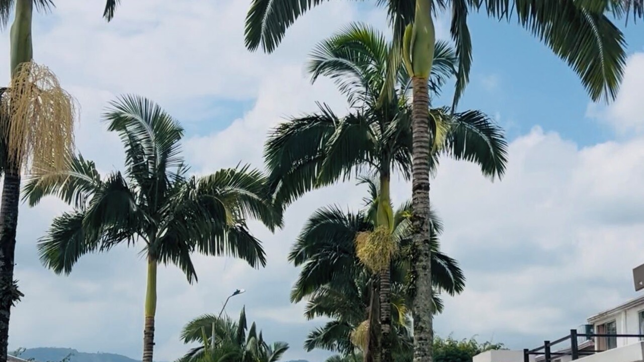 Photo of Others in Pereira