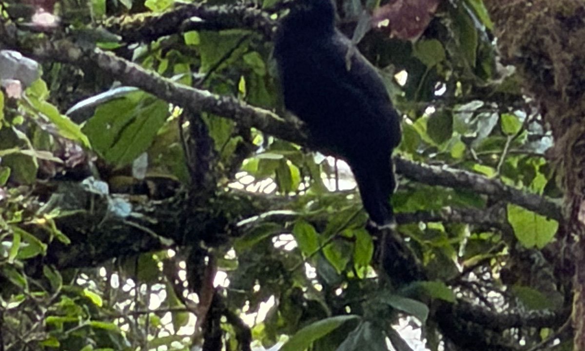 Photo of Others in Medellin