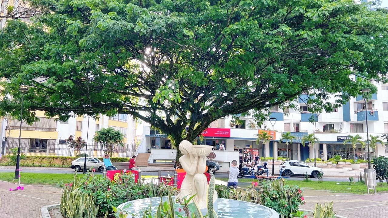 Photo of Outdoor in Pereira