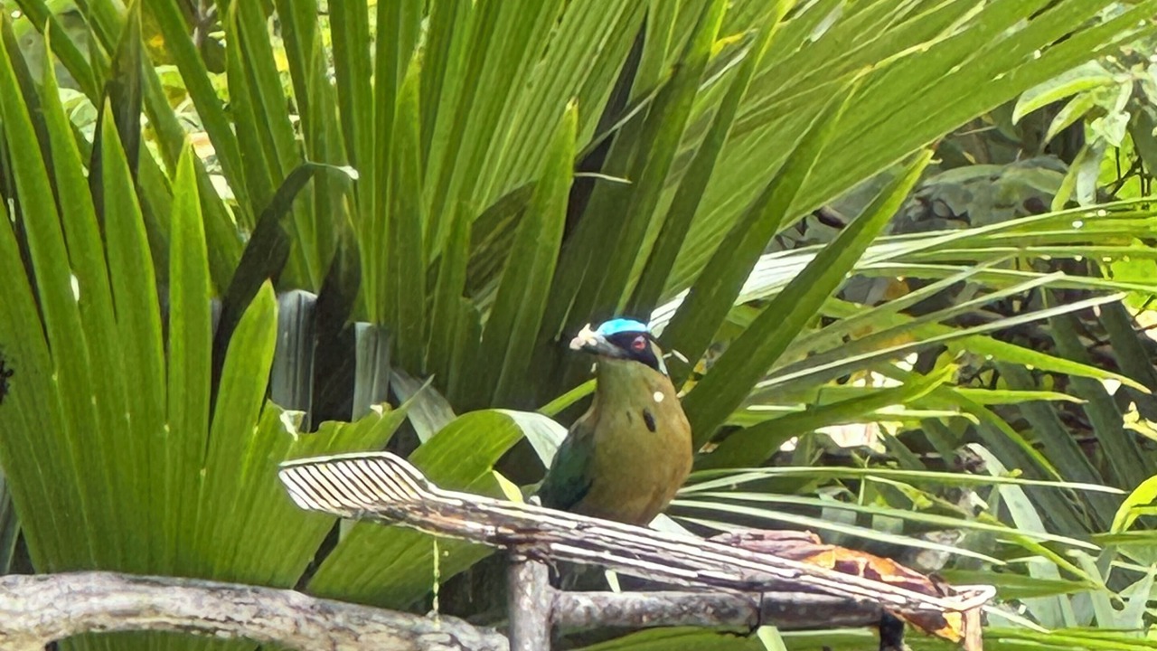 Photo of Others in Pereira