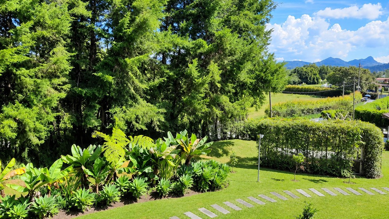 Photo of Outdoor in Llanogrande