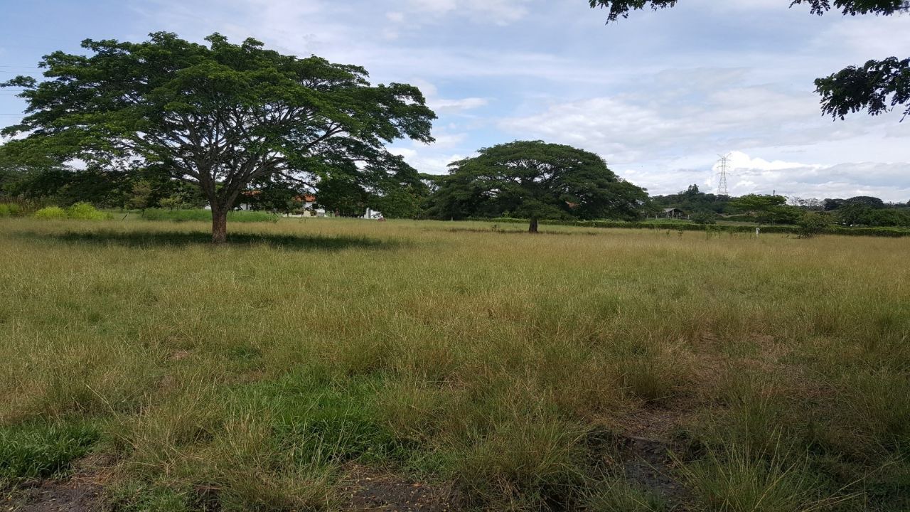 Photo of Others in La Victoria