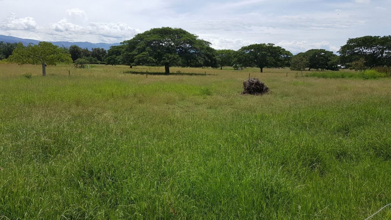 Photo of Others in La Victoria