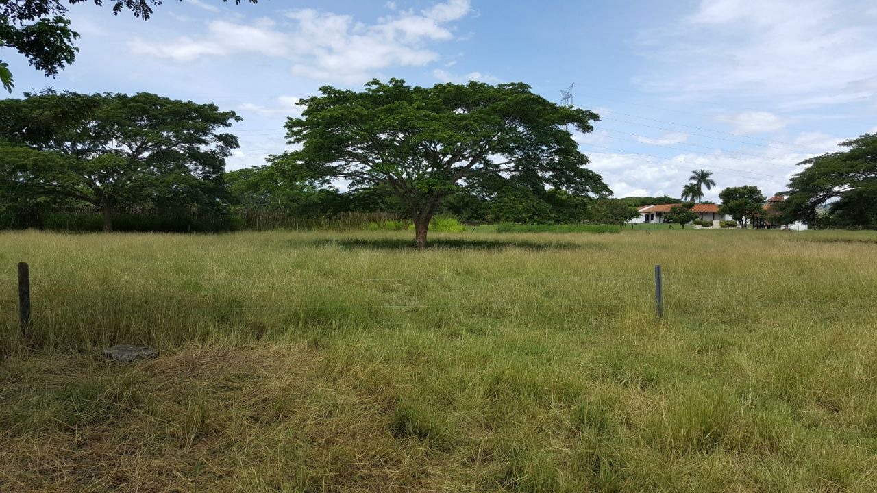 Photo of Others in La Victoria