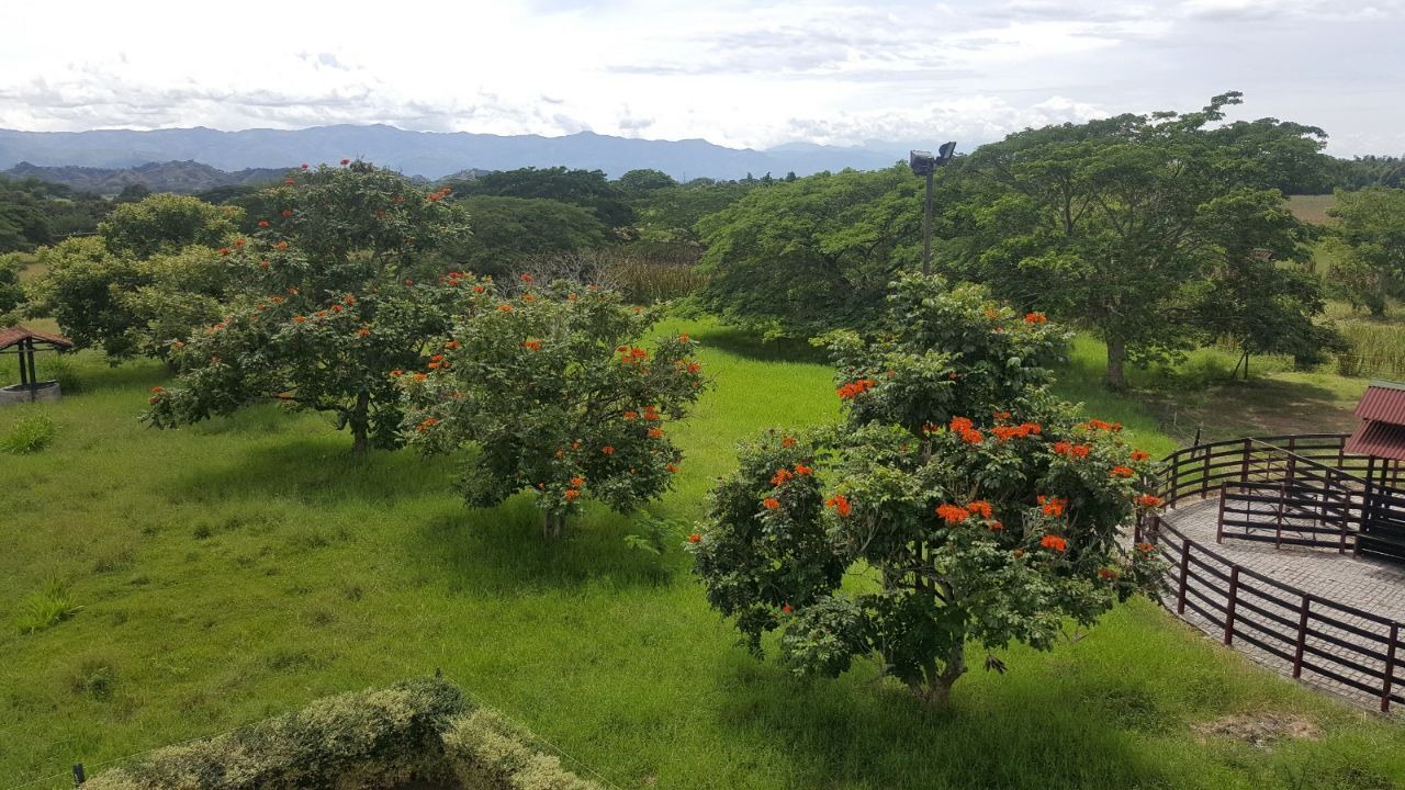 Photo of Outdoor in La Victoria