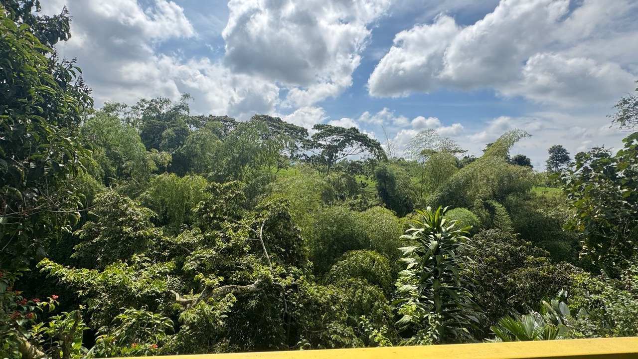 Photo of Outdoor in Circasia