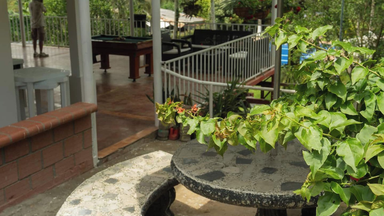 Photo of Outdoor in Alegrias