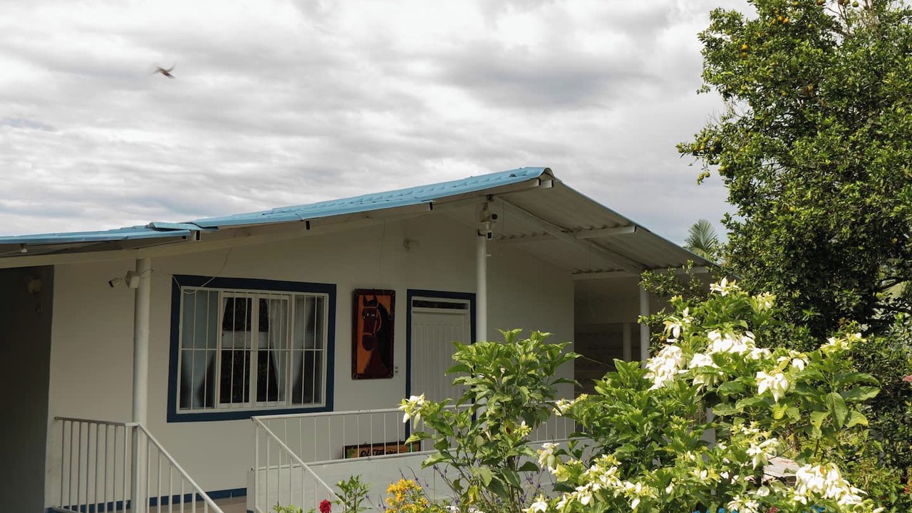 Photo of Outdoor in Alegrias
