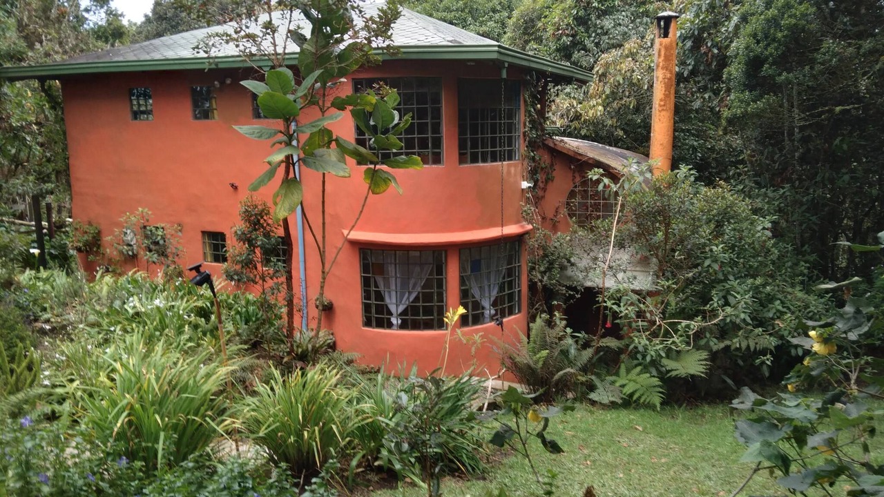 Photo of Outdoor in Medellin