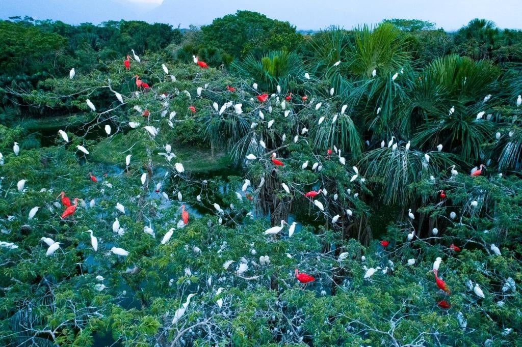 Photo of Others in Restrepo