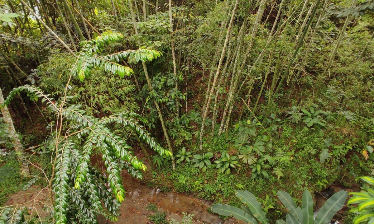 Photo of Outdoor in Barbosa