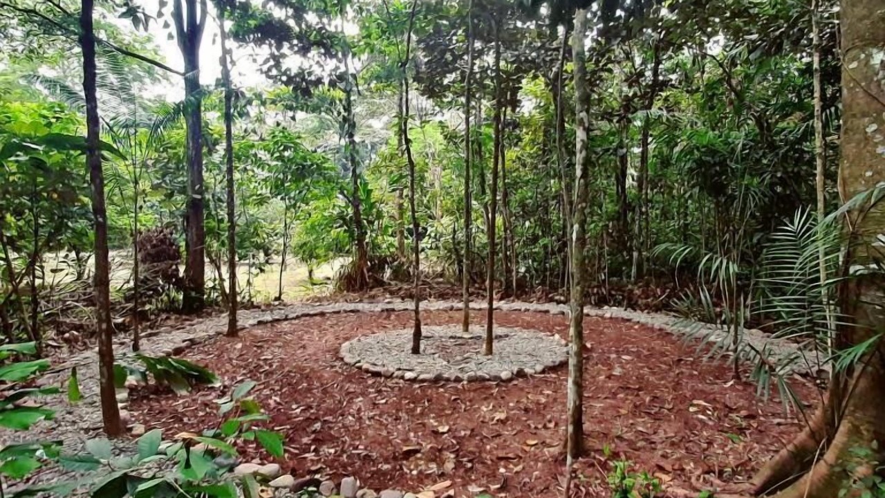Photo of Outdoor in Restrepo