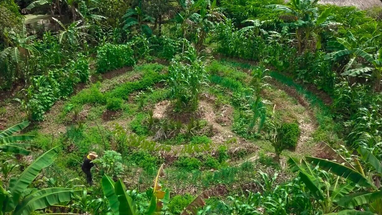 Photo of Outdoor in Restrepo