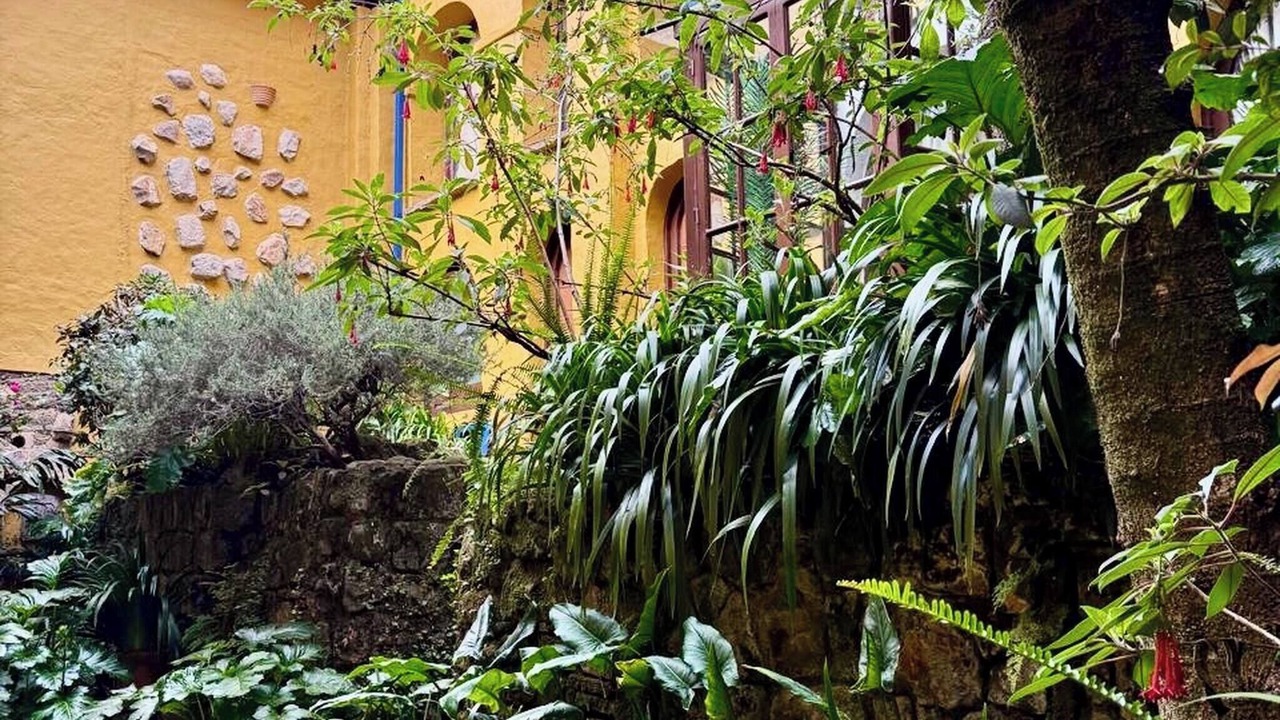Photo of Outdoor in La Candelaria