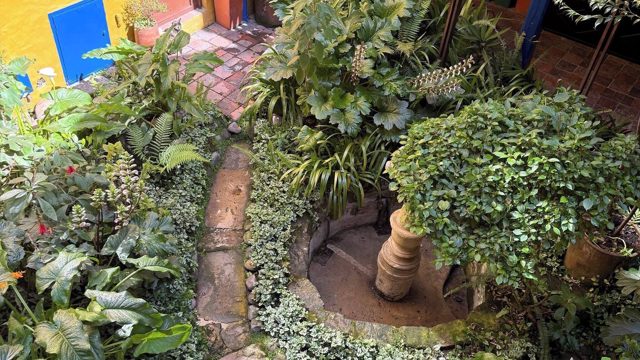 Photo of Outdoor in La Candelaria