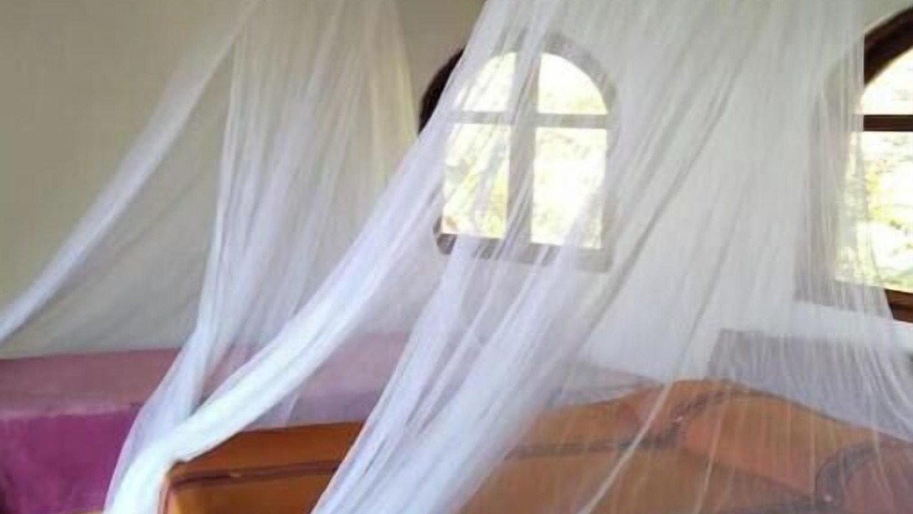 Photo of Bedroom in Papare