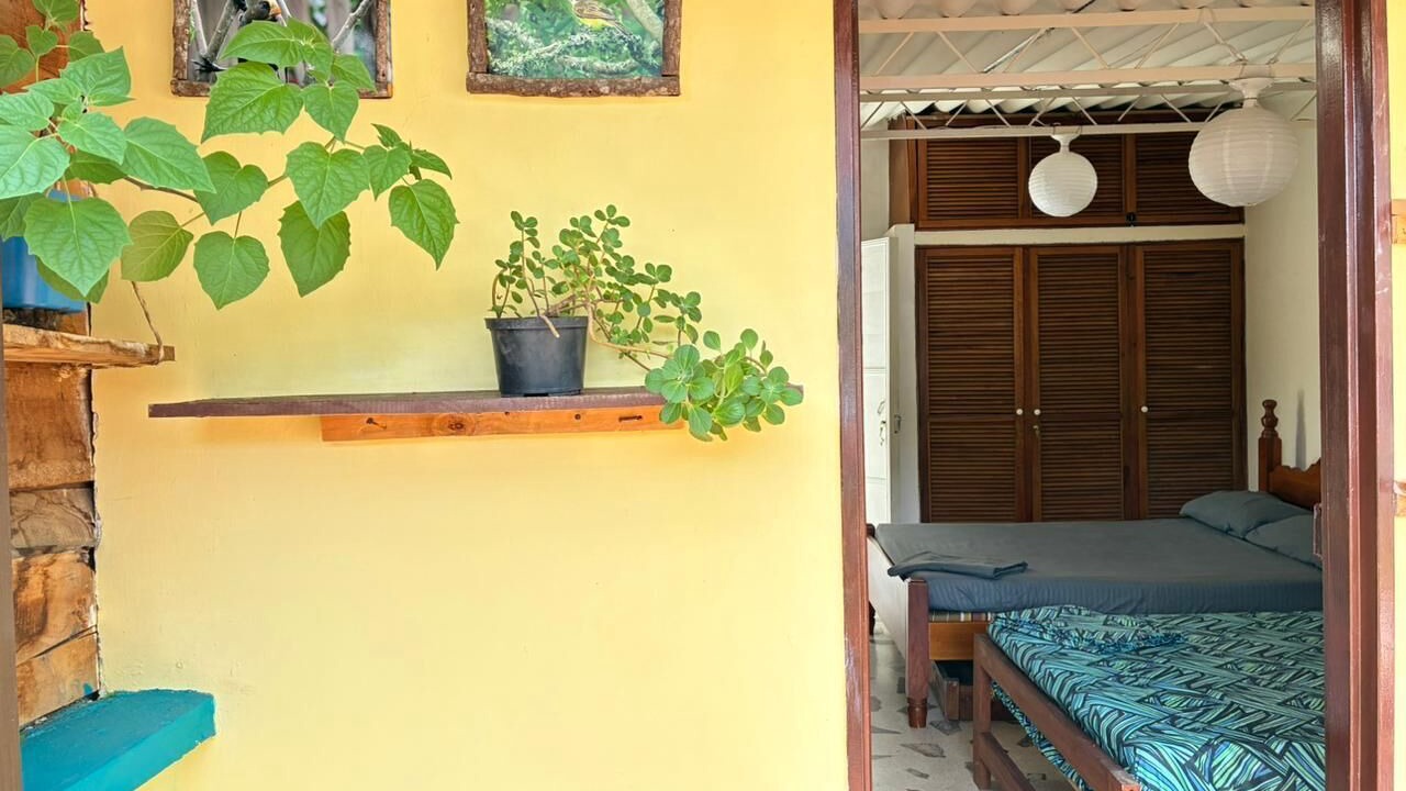 Photo of Outdoor in Jardin