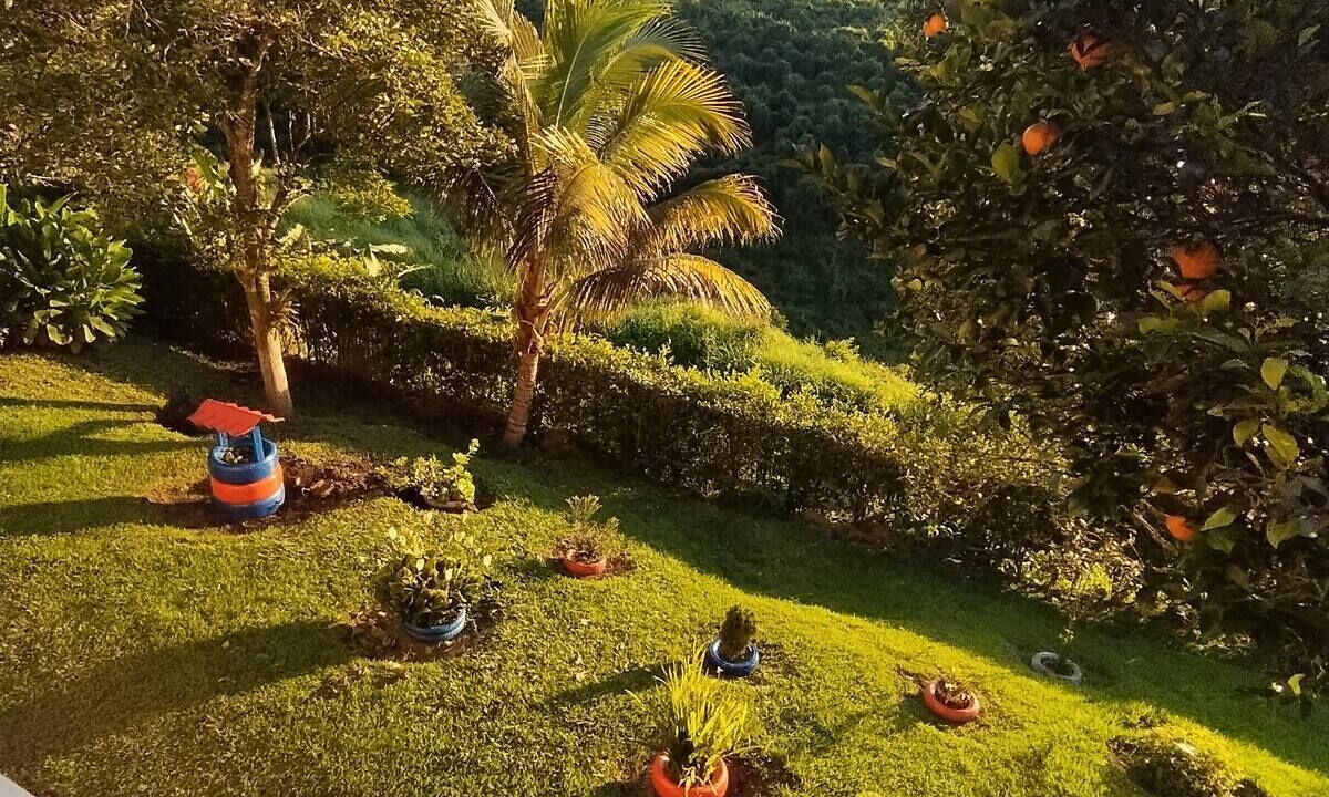 Photo of Outdoor in Quimbaya