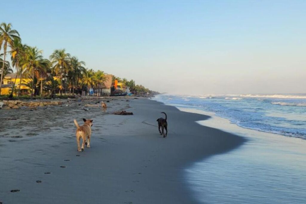 Photo of Others in San Bernardo del Viento
