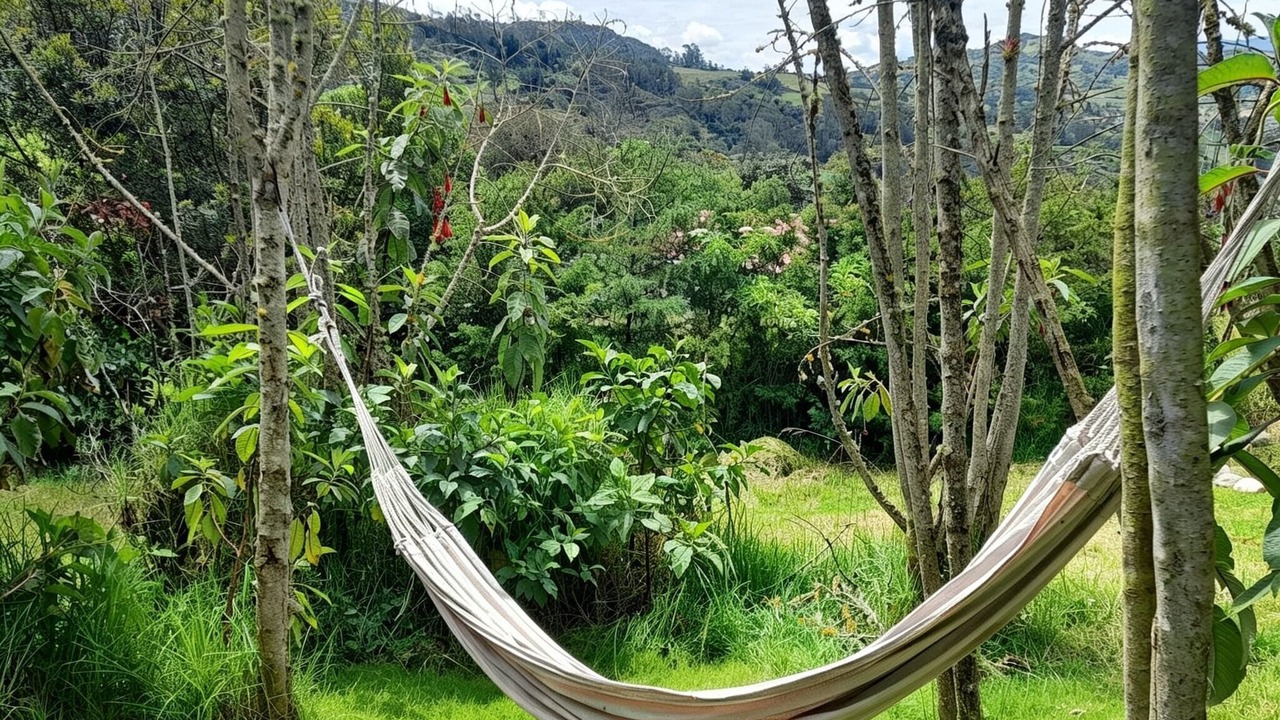 Photo of Outdoor in Chipaque