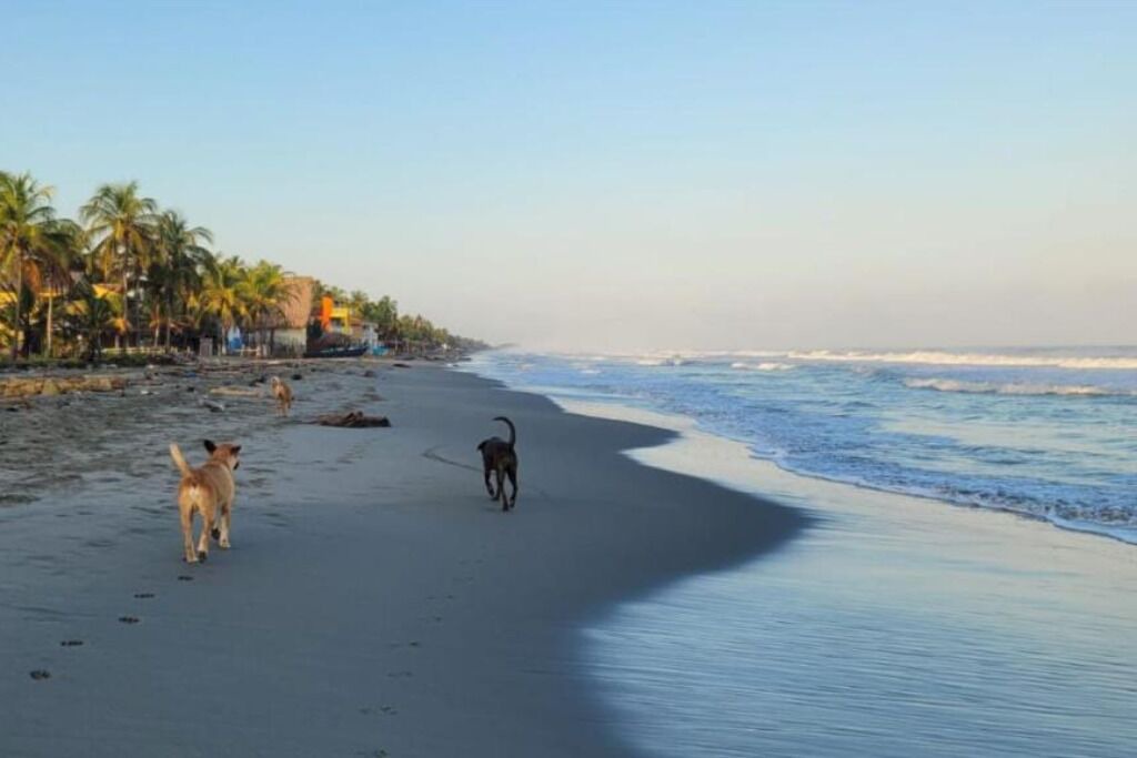 Photo of Others in San Bernardo del Viento