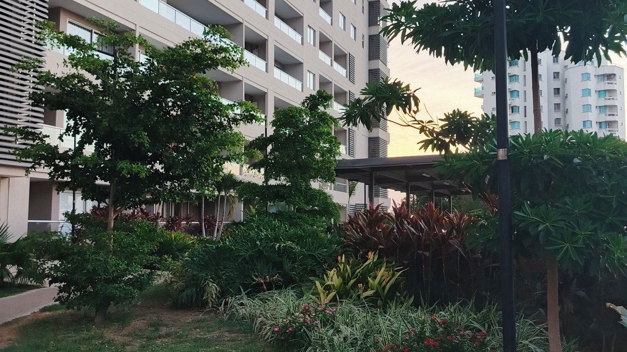 Photo of Outdoor in Papare