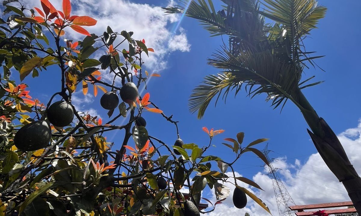 Photo of Outdoor in Guarne