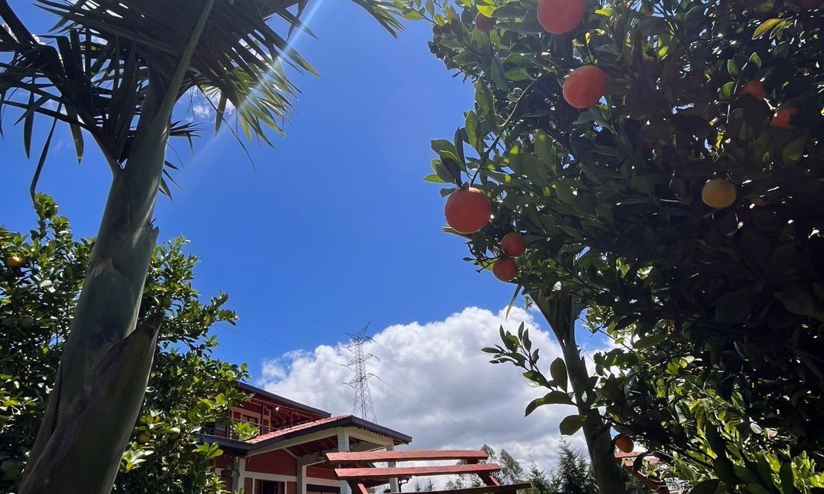 Photo of Outdoor in Guarne