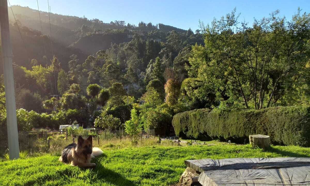 Photo of Outdoor in Chico