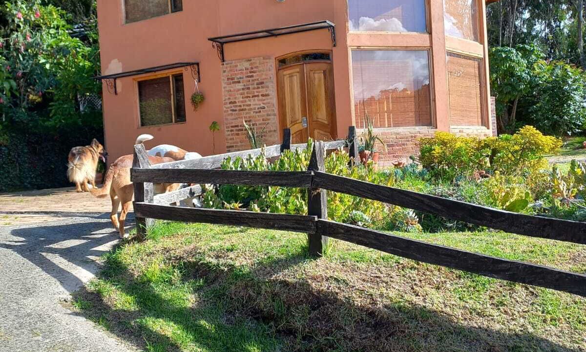 Photo of Outdoor in Chico
