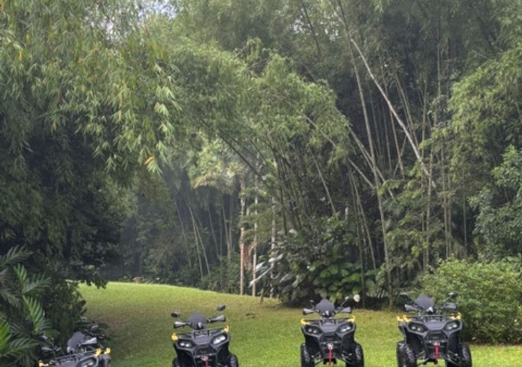 Photo of Outdoor in Montenegro