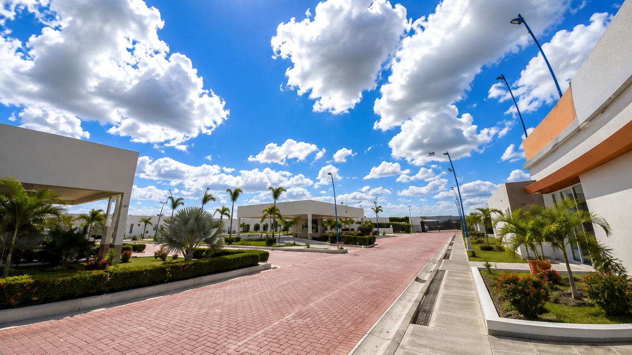 Photo of Outdoor in Flandes