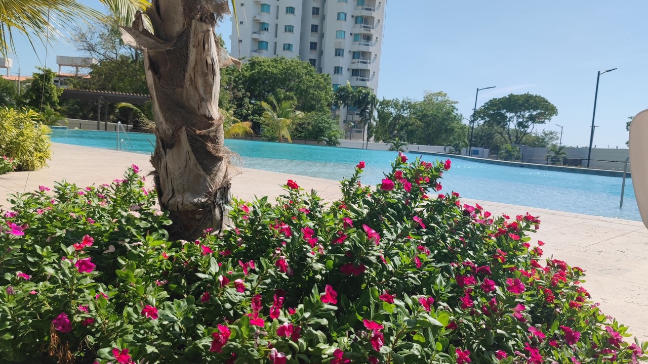 Photo of Outdoor in Papare