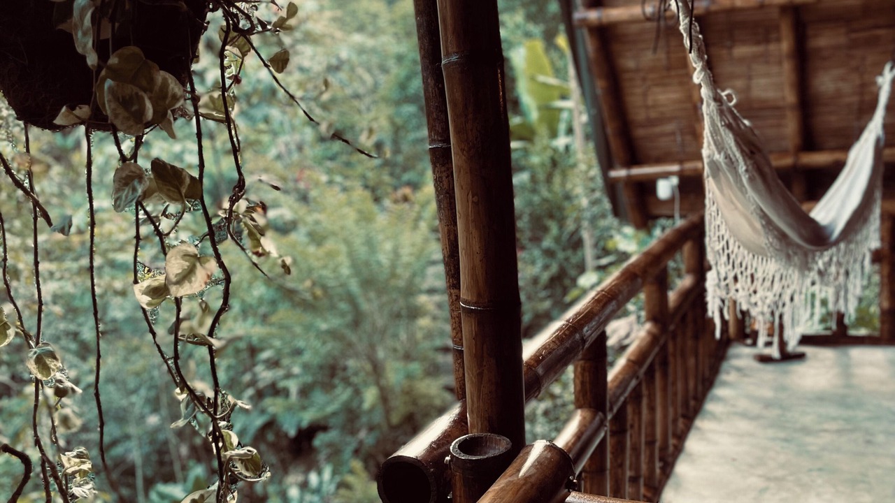 Photo of Outdoor in Cocorna