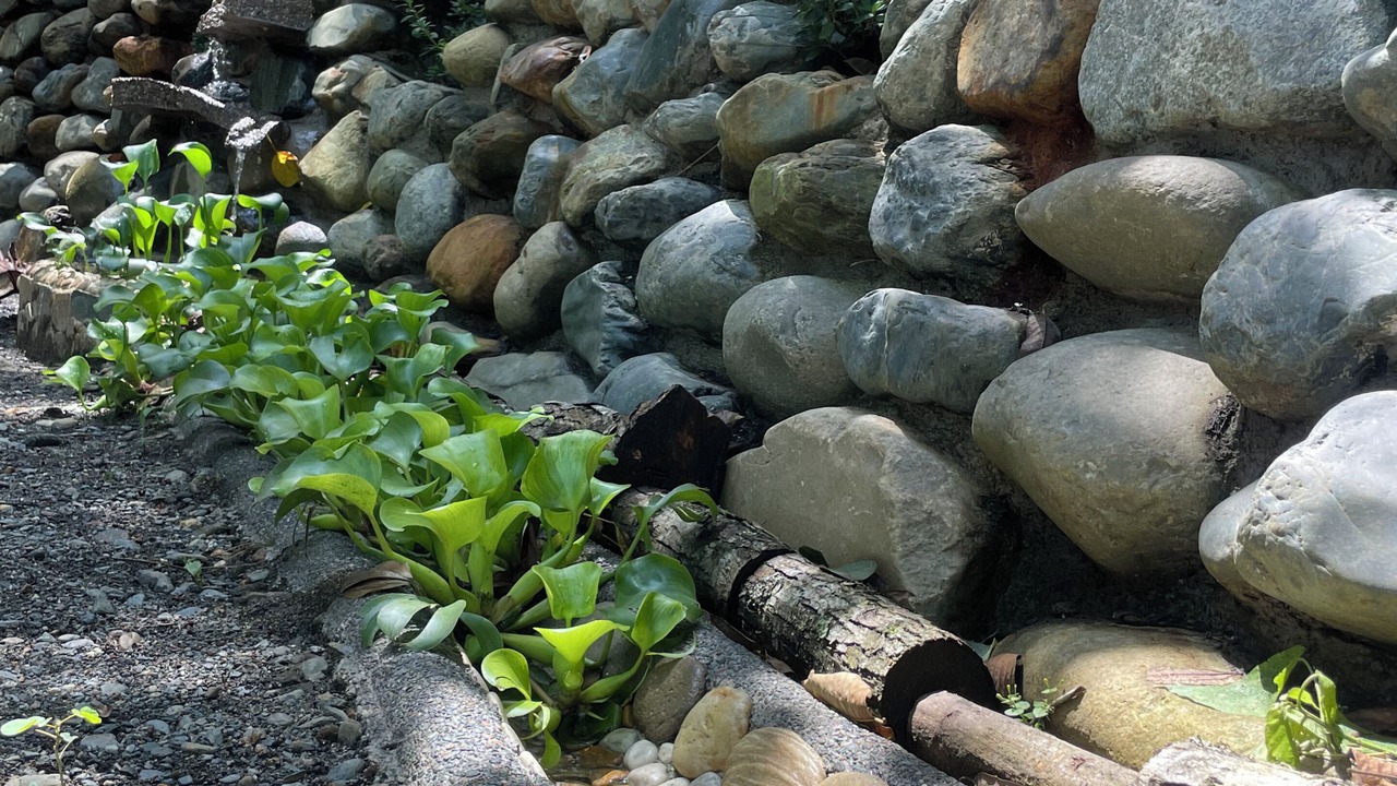 Photo of Outdoor in Cocorna